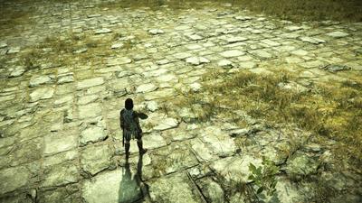 Sony исправила проблемы с текстурами в ремейке Shadow of the Colossus на PlayStation 5 